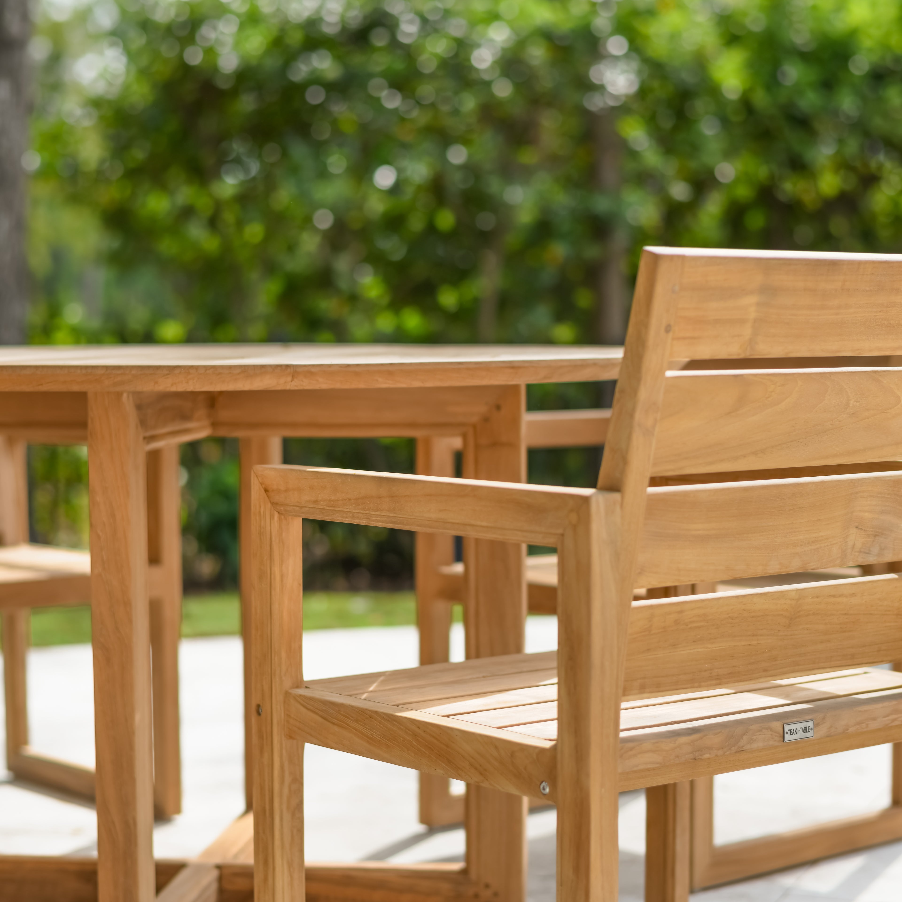 Relax Dining Chair