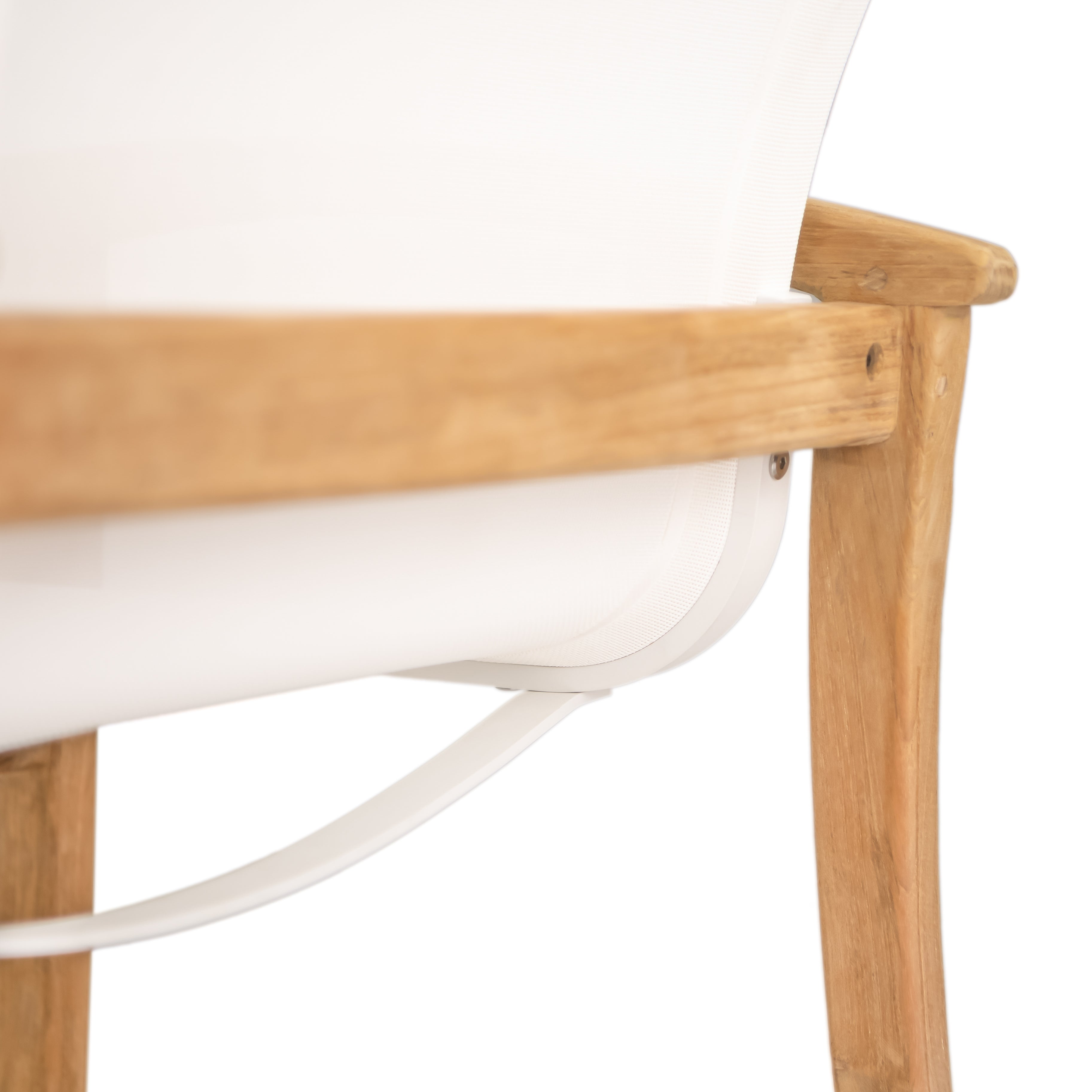 Capri Dining Chair