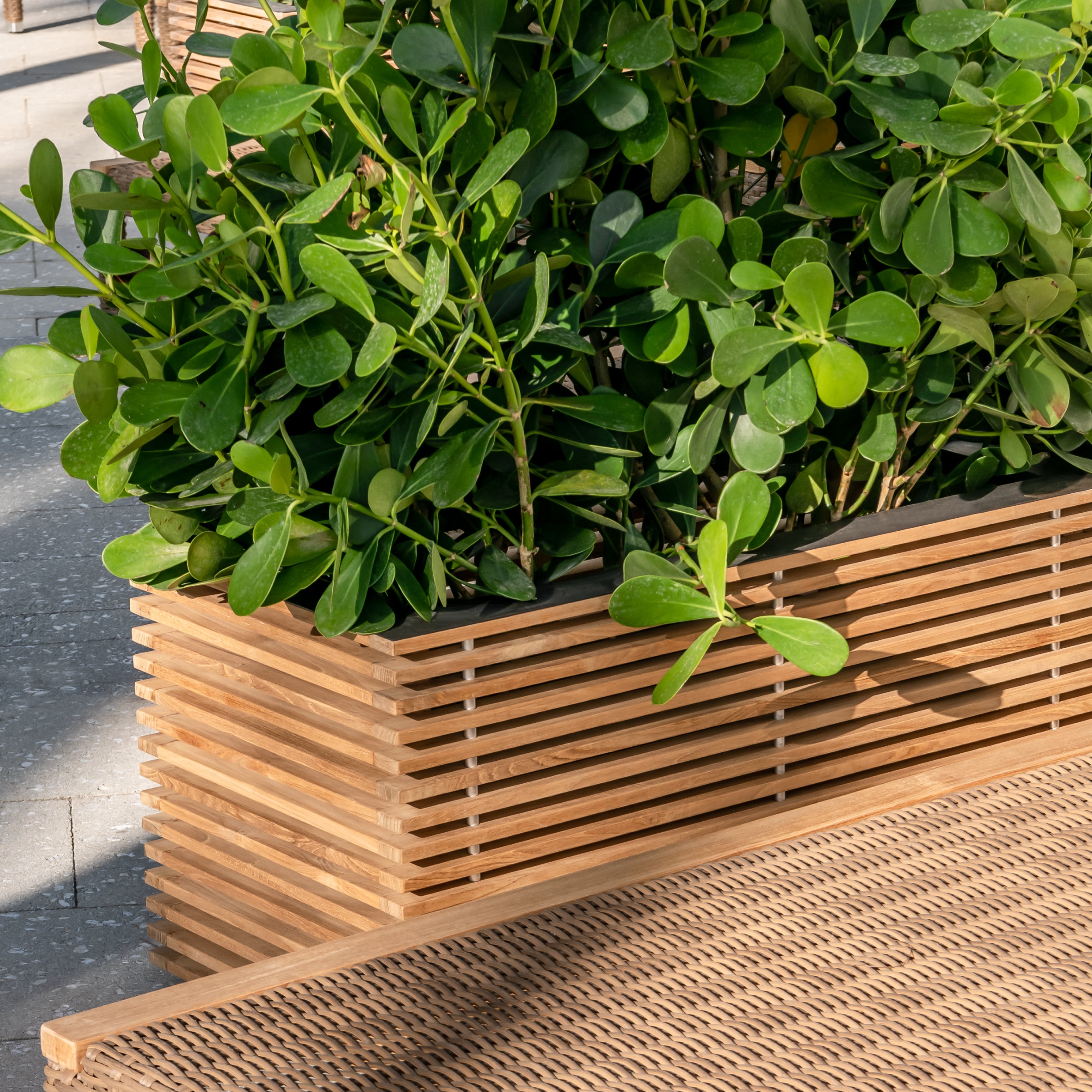 Relax Planter Box