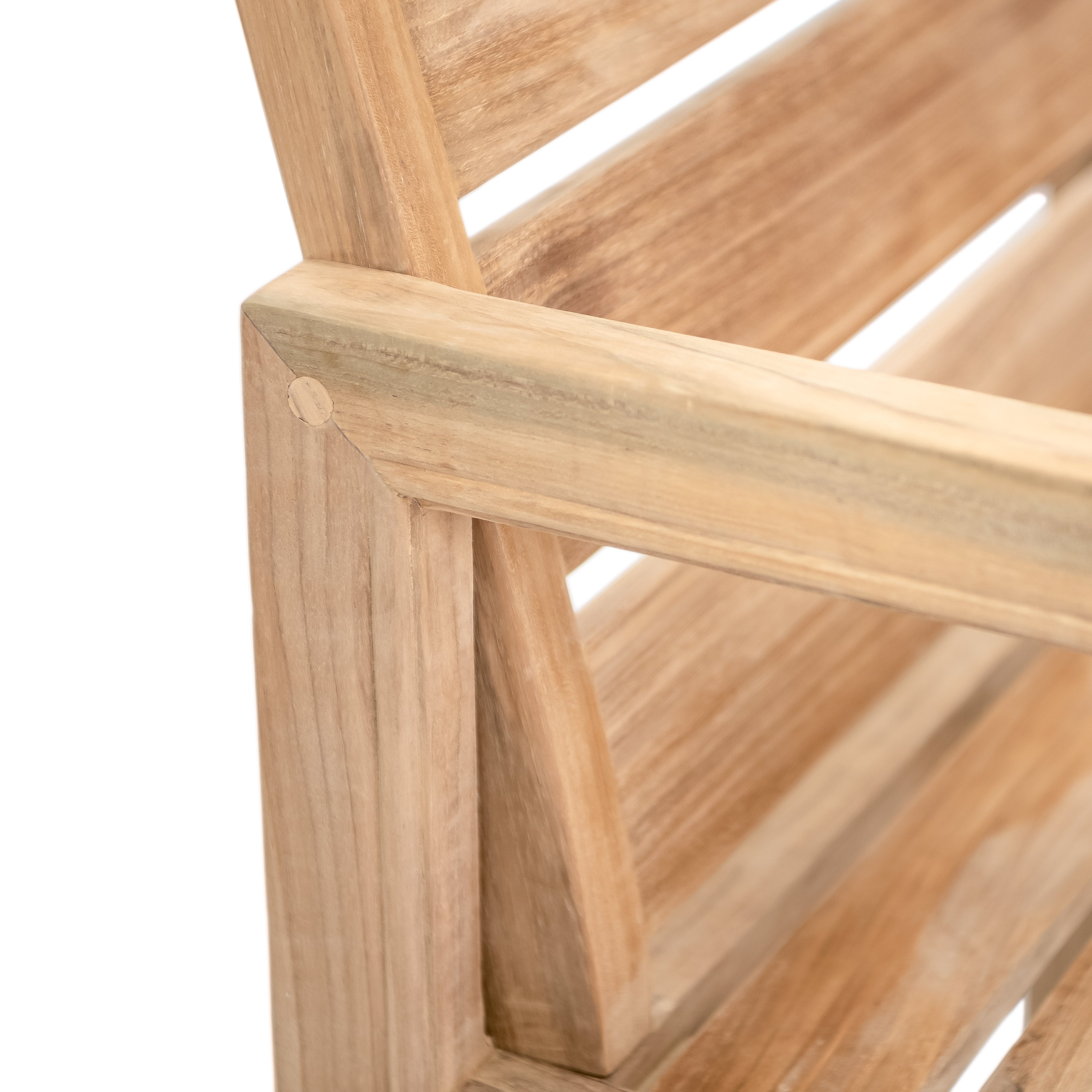 Relax Dining Chair