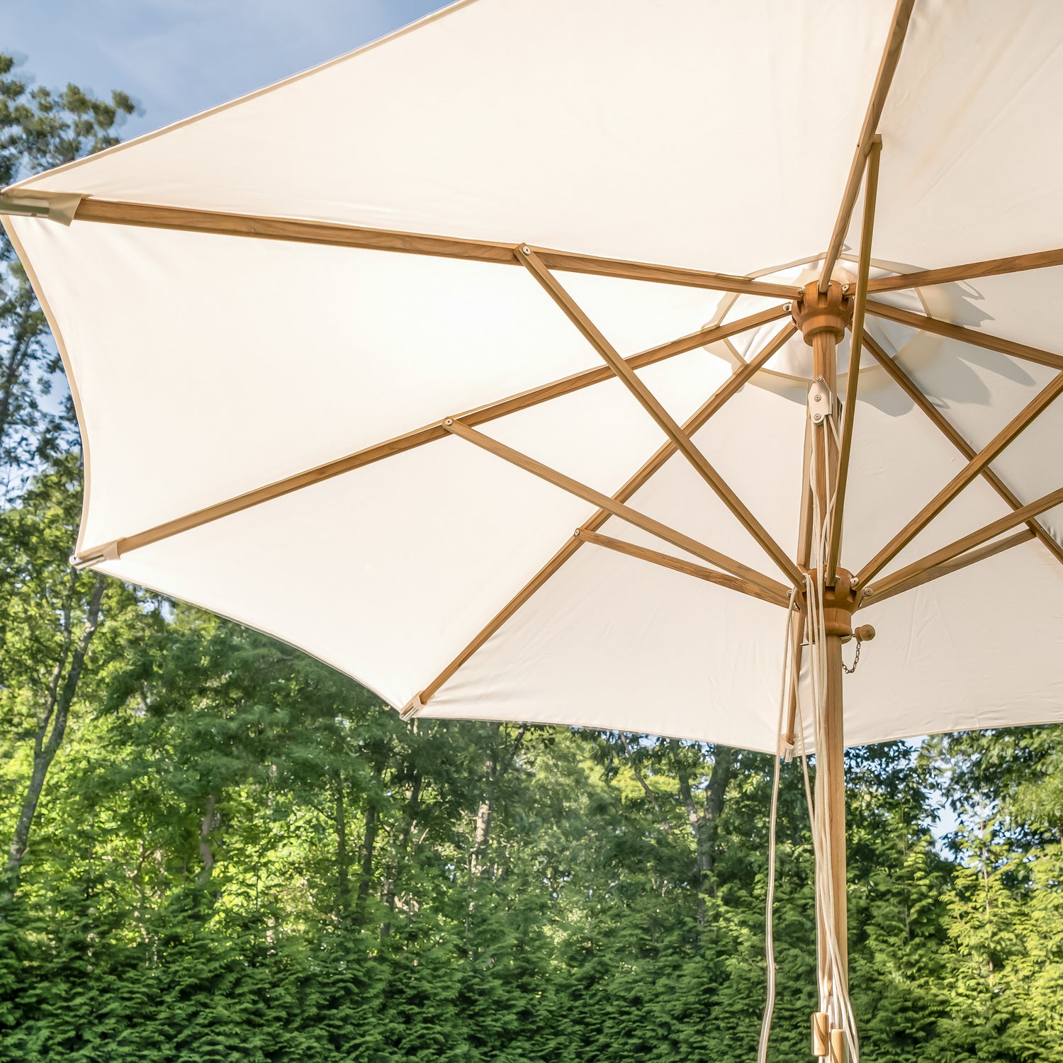 UMBRELLAS