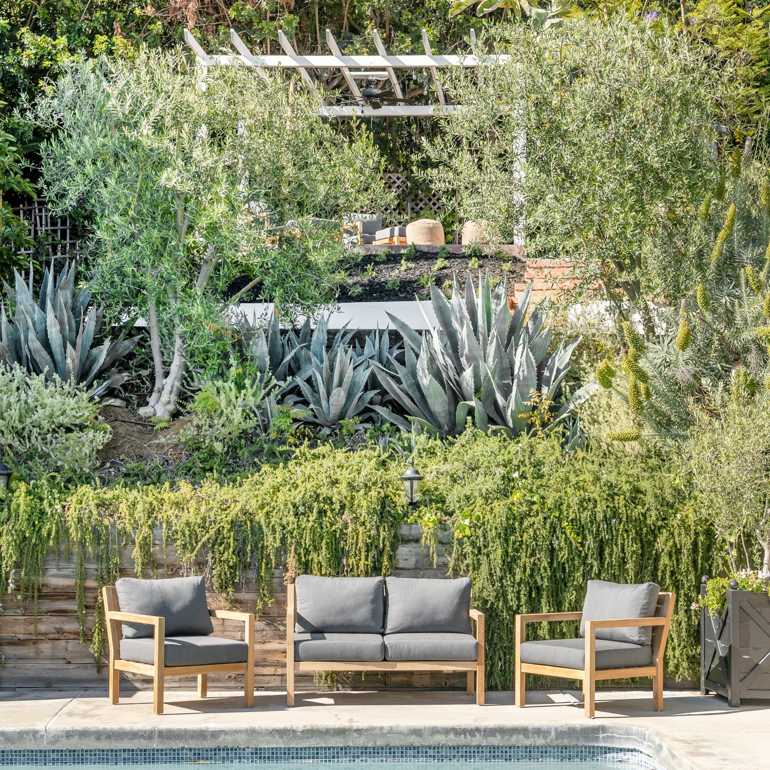 Monday Club Chair