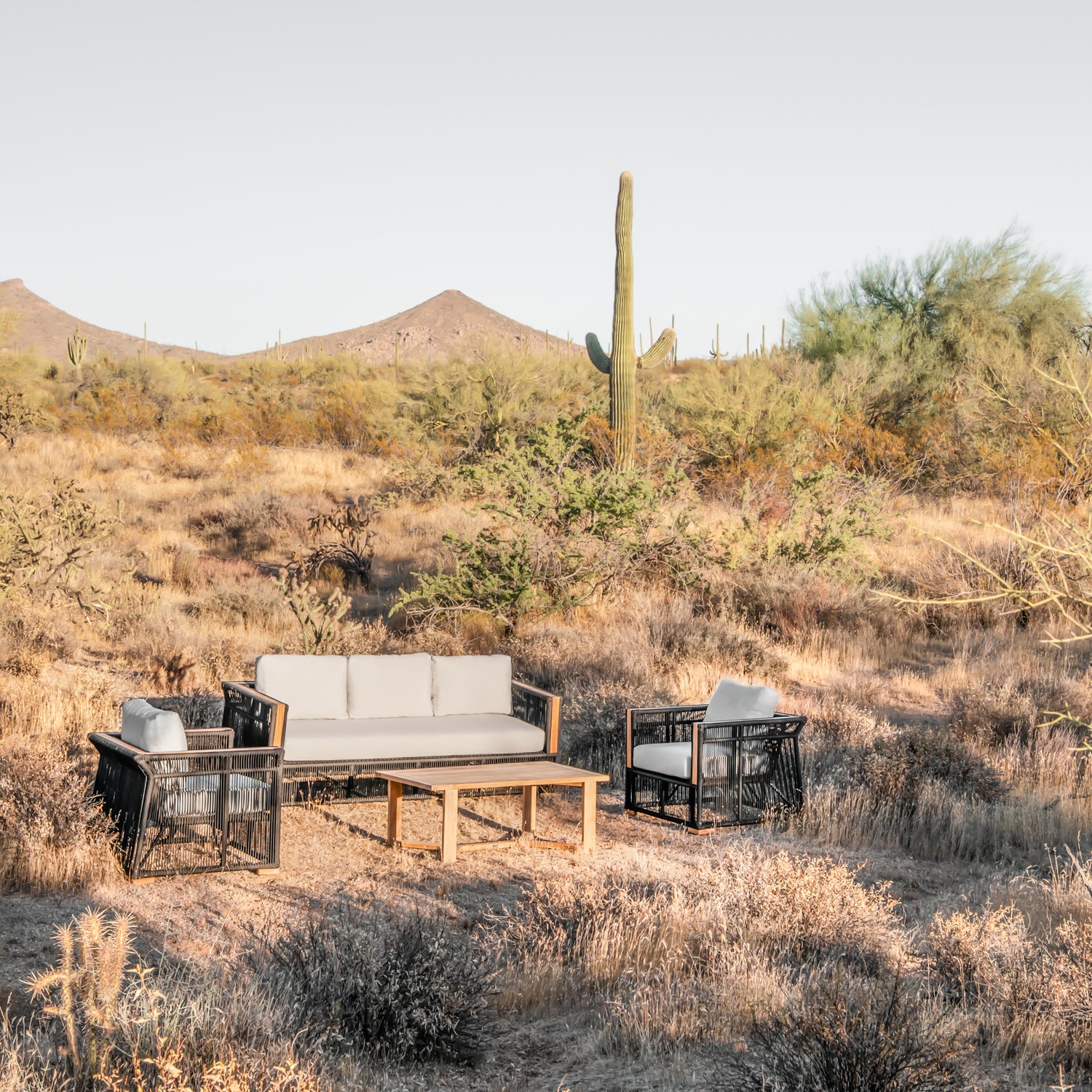 Breeze Club Chair